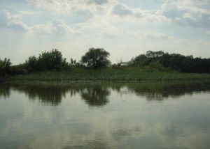 Tisza-tó