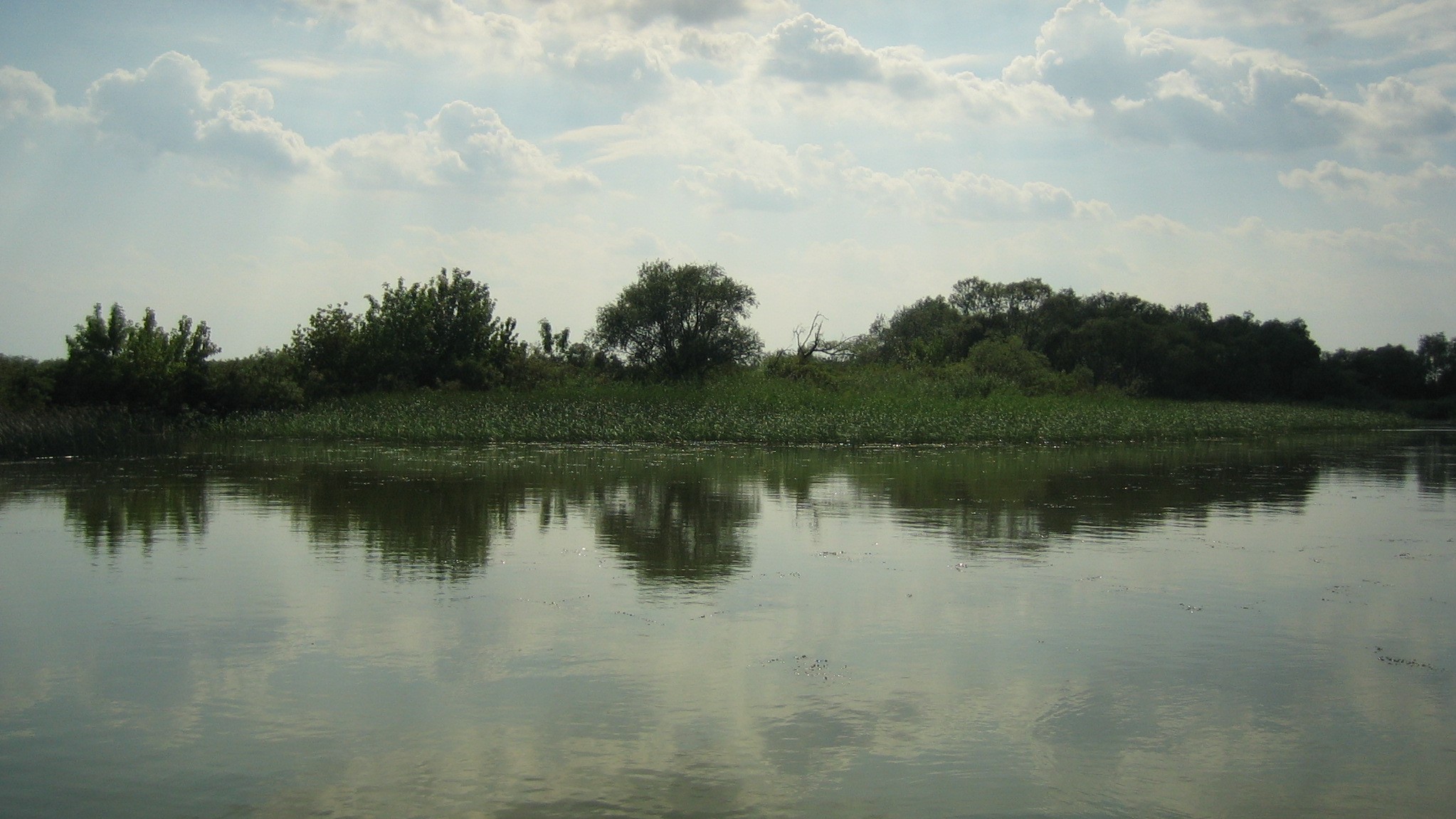 Tisza-tó